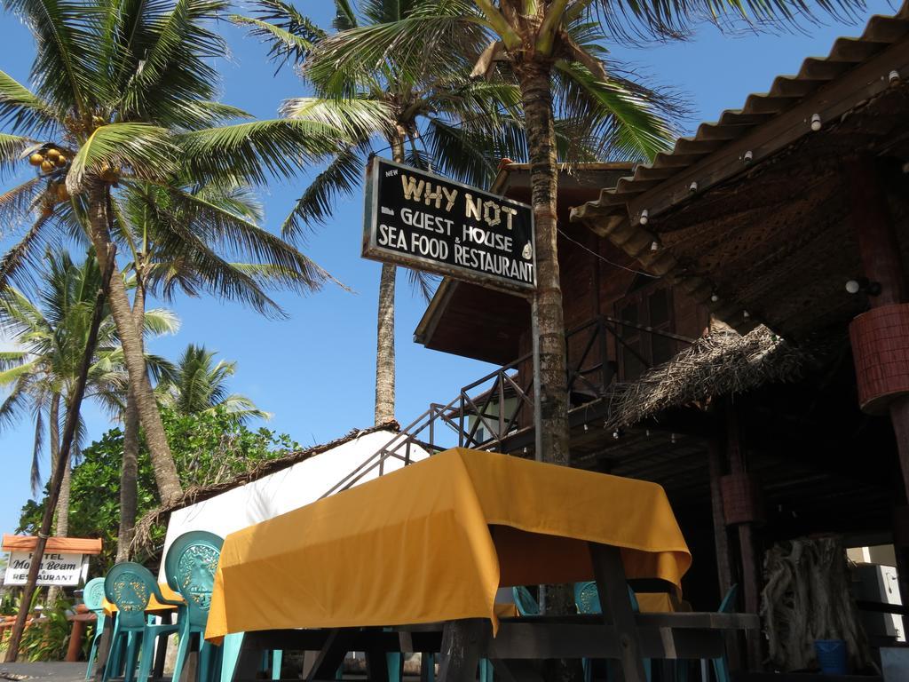 Why Not Guest House Hikkaduwa Bagian luar foto